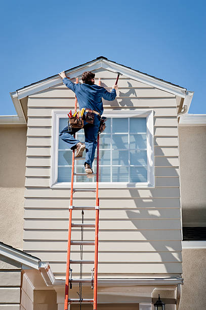 Affordable Siding Repair and Maintenance Services in South Rockwood, MI